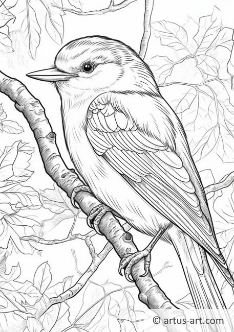 Nuthatch Coloring Page
